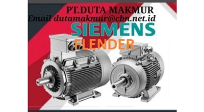 Logo PT. Duta Makmur Siemens Electric Motor